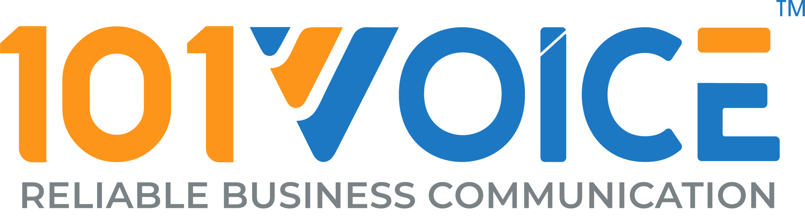 101 Voice